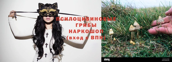 гашишное масло Белокуриха
