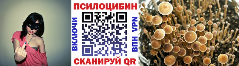 что такое наркотик  Семикаракорск  Галлюциногенные грибы Psilocybine cubensis 